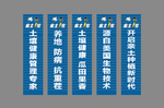 亲土1号
