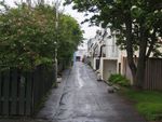 城市摄影 绿色 城市 城堡 花
