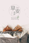 早安