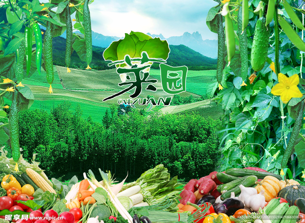 蔬菜水果 水果蔬菜 蔬菜海报