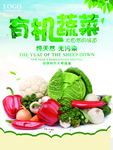 蔬菜水果 水果蔬菜 蔬菜海报