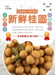 桂圆海报
