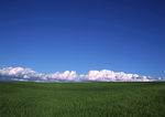 田野风光