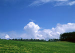 田野风光