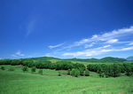 田园风光