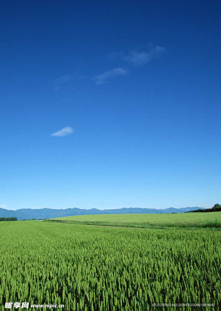 田园风光