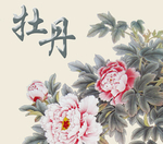 牡丹