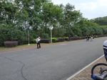 景观大道