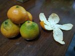 橘子