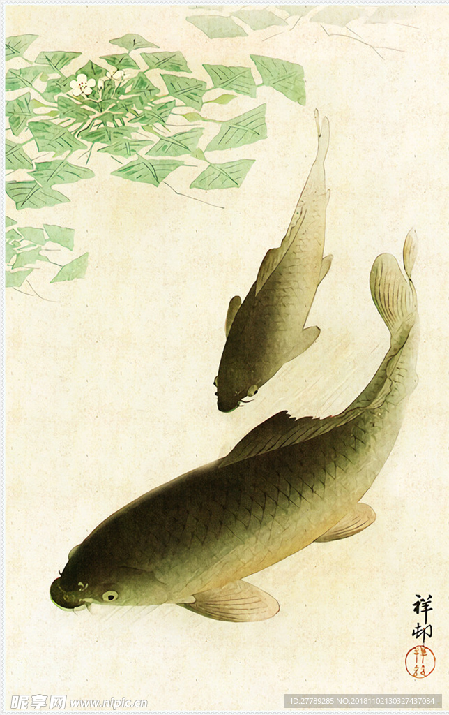 动物