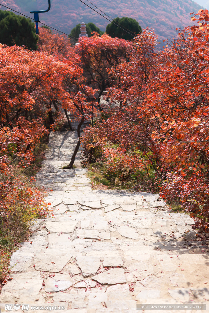 红叶山