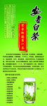 安吉白茶展架