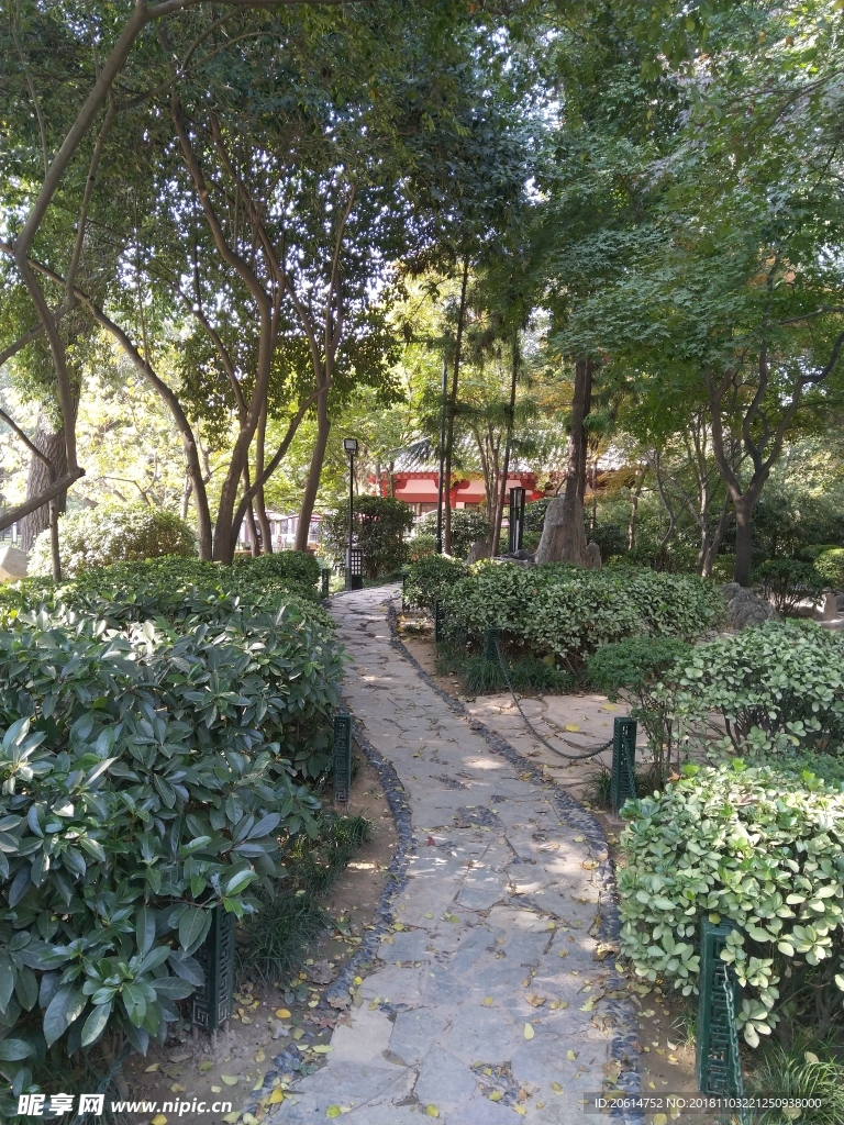 美丽的公园风景