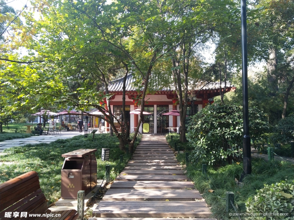 美丽的公园风景