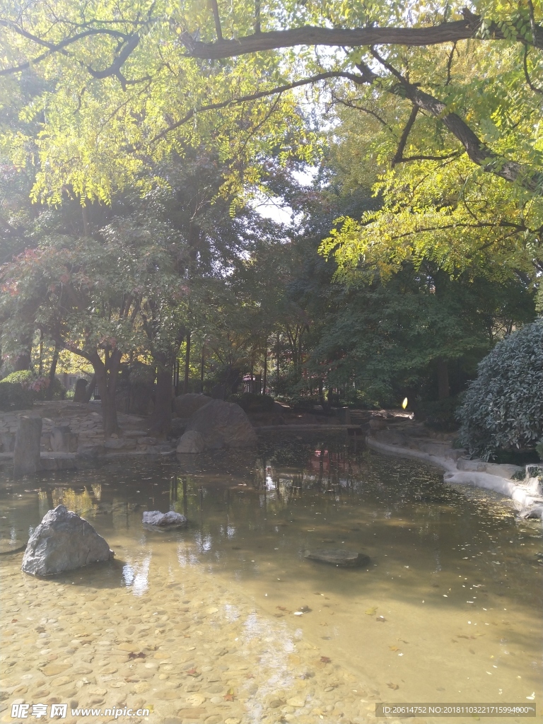 美丽的公园风景