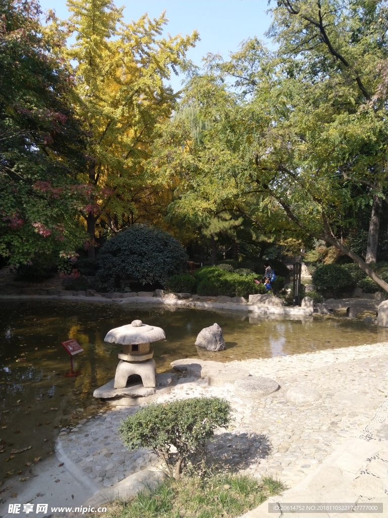 公园树林风景