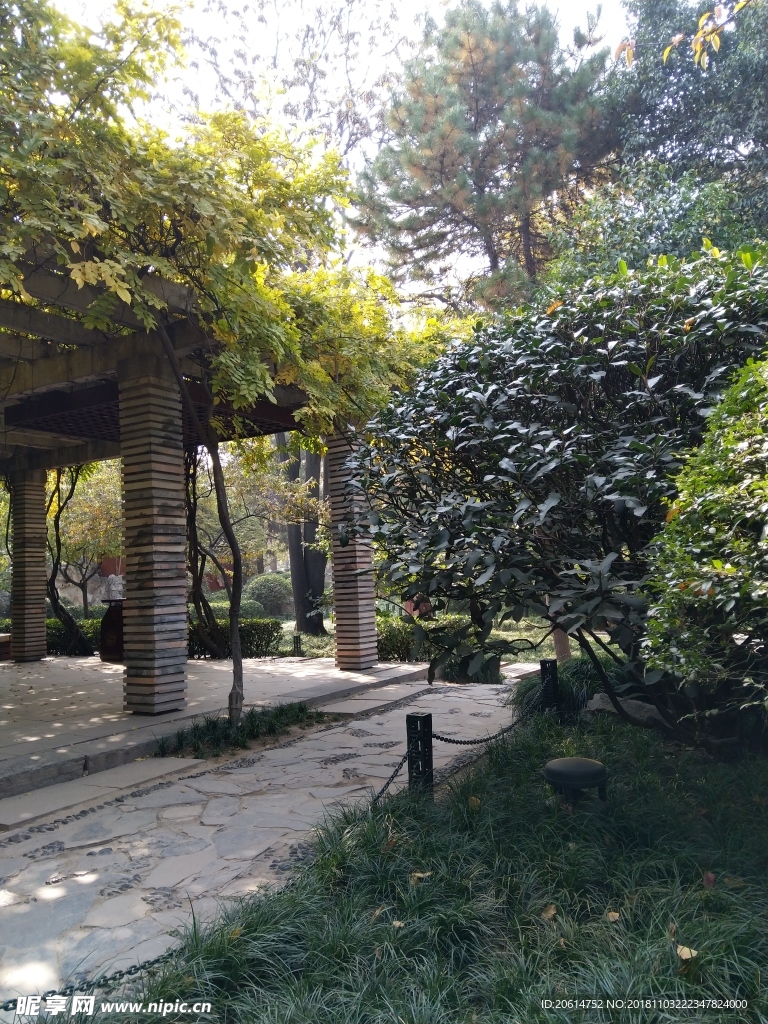 公园树林风景