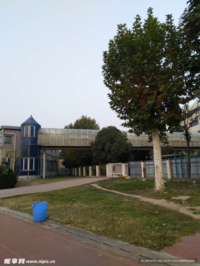 公园风景