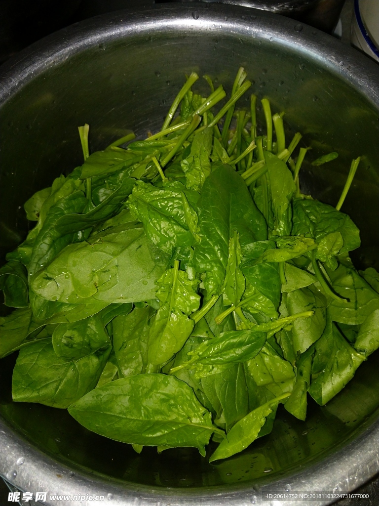 盆子里的青菜