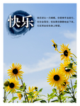 向日葵海报