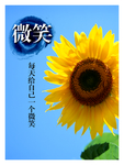 向日葵