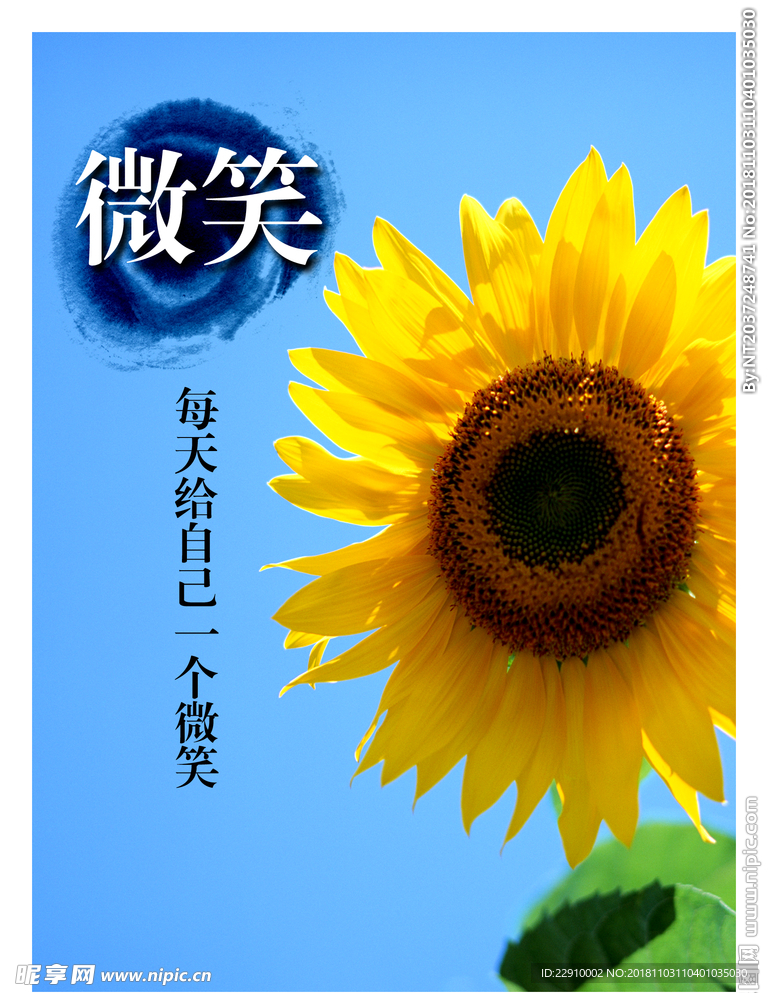 向日葵