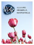 学校展板
