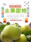 水果柿子海报