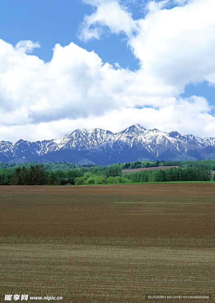 田园风光