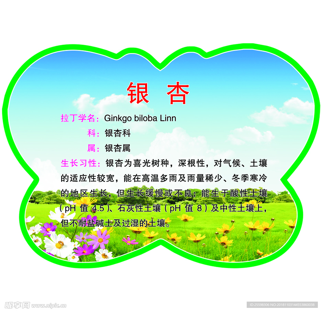 花卉异形牌