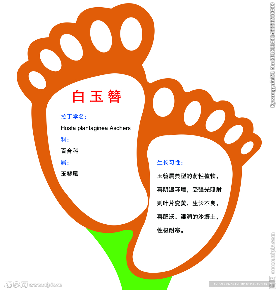 花卉异形牌