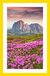 山峰鲜花风景图片