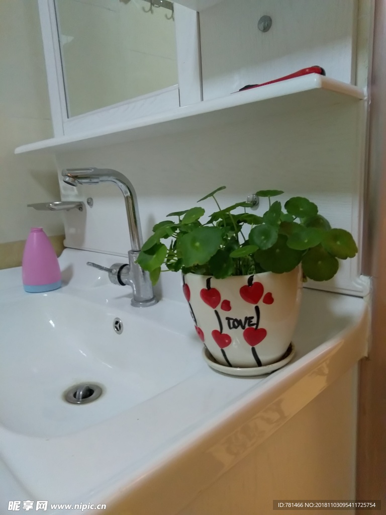 家中一花
