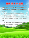 新闻部工作 规程