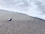 海水潮汐