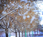 2018初雪