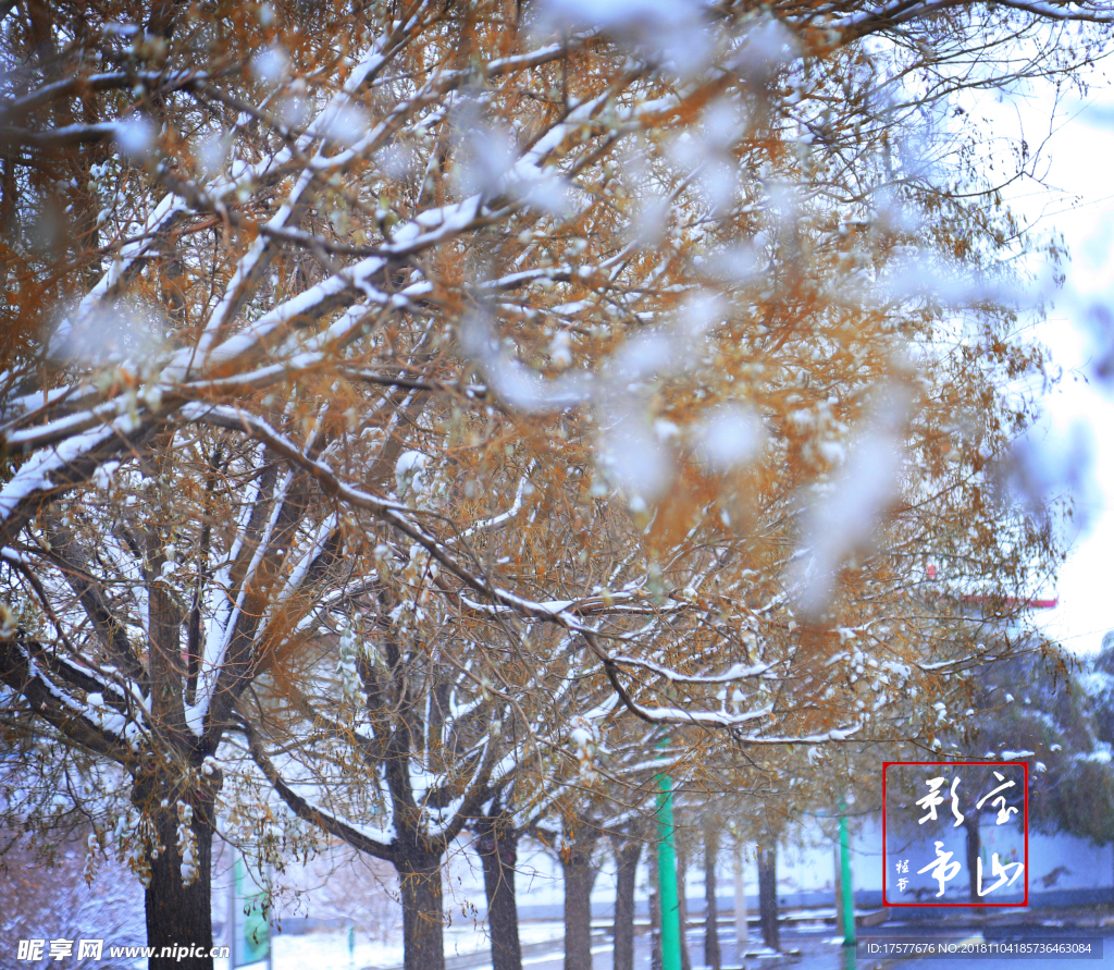 2018初雪
