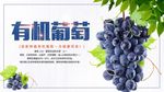 有机葡萄