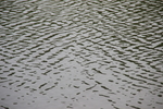 水波纹