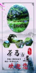 灯展 旅游 山水 大山 风景