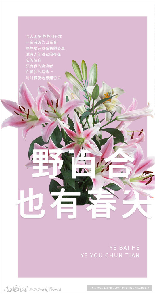 野百合也有春天花手机海报