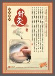 针灸展板