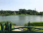 风景