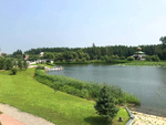 风景