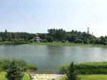 风景