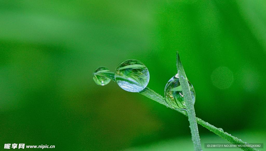 水珠露珠