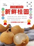 桂圆海报