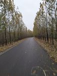 深秋小路