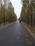 秋季小路