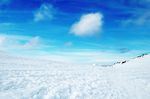雪景